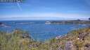 ./images/calvert/foggy-cove/20260527/foggy-cove20260527_120501M.jpg