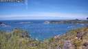 ./images/calvert/foggy-cove/20260527/foggy-cove20260527_121002M.jpg
