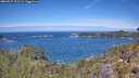 ./images/calvert/foggy-cove/20260527/foggy-cove20260527_122501M.jpg