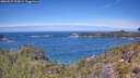 ./images/calvert/foggy-cove/20260527/foggy-cove20260527_123001M.jpg