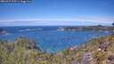 ./images/calvert/foggy-cove/20260527/foggy-cove20260527_123501M.jpg