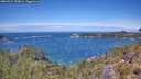 ./images/calvert/foggy-cove/20260527/foggy-cove20260527_124001M.jpg