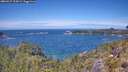 ./images/calvert/foggy-cove/20260527/foggy-cove20260527_125001M.jpg