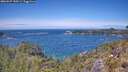 ./images/calvert/foggy-cove/20260527/foggy-cove20260527_130501M.jpg