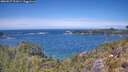 ./images/calvert/foggy-cove/20260527/foggy-cove20260527_131001M.jpg