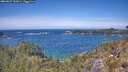 ./images/calvert/foggy-cove/20260527/foggy-cove20260527_132001M.jpg