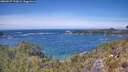 ./images/calvert/foggy-cove/20260527/foggy-cove20260527_133002M.jpg