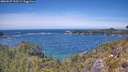 ./images/calvert/foggy-cove/20260527/foggy-cove20260527_133501M.jpg
