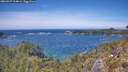 ./images/calvert/foggy-cove/20260527/foggy-cove20260527_134001M.jpg