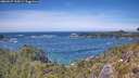 ./images/calvert/foggy-cove/20260527/foggy-cove20260527_134501M.jpg