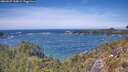 ./images/calvert/foggy-cove/20260527/foggy-cove20260527_135001M.jpg