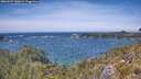 ./images/calvert/foggy-cove/20260527/foggy-cove20260527_140001M.jpg
