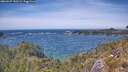 ./images/calvert/foggy-cove/20260527/foggy-cove20260527_140501M.jpg