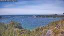 ./images/calvert/foggy-cove/20260527/foggy-cove20260527_141001M.jpg