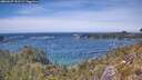 ./images/calvert/foggy-cove/20260527/foggy-cove20260527_141502M.jpg