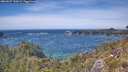 ./images/calvert/foggy-cove/20260527/foggy-cove20260527_142001M.jpg