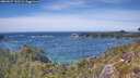 ./images/calvert/foggy-cove/20260527/foggy-cove20260527_142501M.jpg
