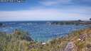 ./images/calvert/foggy-cove/20260527/foggy-cove20260527_143001M.jpg