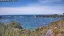 ./images/calvert/foggy-cove/20260527/foggy-cove20260527_143502M.jpg
