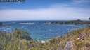 ./images/calvert/foggy-cove/20260527/foggy-cove20260527_144001M.jpg