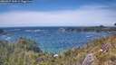 ./images/calvert/foggy-cove/20260527/foggy-cove20260527_144501M.jpg