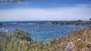 ./images/calvert/foggy-cove/20260527/foggy-cove20260527_145001M.jpg