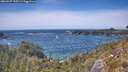 ./images/calvert/foggy-cove/20260527/foggy-cove20260527_145501M.jpg