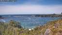 ./images/calvert/foggy-cove/20260527/foggy-cove20260527_150001M.jpg