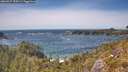 ./images/calvert/foggy-cove/20260527/foggy-cove20260527_150501M.jpg