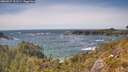 ./images/calvert/foggy-cove/20260527/foggy-cove20260527_152501M.jpg