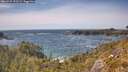 ./images/calvert/foggy-cove/20260527/foggy-cove20260527_153501M.jpg
