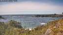 ./images/calvert/foggy-cove/20260527/foggy-cove20260527_160501M.jpg