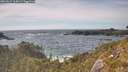 ./images/calvert/foggy-cove/20260527/foggy-cove20260527_164501M.jpg