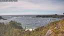 ./images/calvert/foggy-cove/20260527/foggy-cove20260527_165001M.jpg