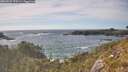 ./images/calvert/foggy-cove/20260527/foggy-cove20260527_170501M.jpg