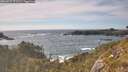 ./images/calvert/foggy-cove/20260527/foggy-cove20260527_171501M.jpg