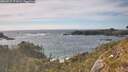 ./images/calvert/foggy-cove/20260527/foggy-cove20260527_172001M.jpg