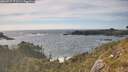 ./images/calvert/foggy-cove/20260527/foggy-cove20260527_172501M.jpg