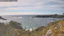 ./images/calvert/foggy-cove/20260527/foggy-cove20260527_173001M.jpg