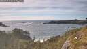 ./images/calvert/foggy-cove/20260527/foggy-cove20260527_174001M.jpg
