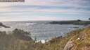 ./images/calvert/foggy-cove/20260527/foggy-cove20260527_175001M.jpg