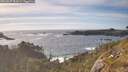 ./images/calvert/foggy-cove/20260527/foggy-cove20260527_181001M.jpg