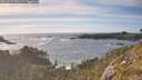 ./images/calvert/foggy-cove/20260527/foggy-cove20260527_181501M.jpg