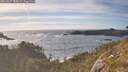 ./images/calvert/foggy-cove/20260527/foggy-cove20260527_182001M.jpg