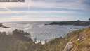 ./images/calvert/foggy-cove/20260527/foggy-cove20260527_182501M.jpg