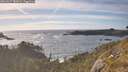 ./images/calvert/foggy-cove/20260527/foggy-cove20260527_183002M.jpg