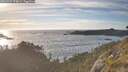 ./images/calvert/foggy-cove/20260527/foggy-cove20260527_194001M.jpg