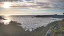 ./images/calvert/foggy-cove/20260527/foggy-cove20260527_202501M.jpg