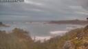 ./images/calvert/foggy-cove/20260528/foggy-cove20260528_051501M.jpg