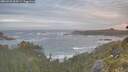 ./images/calvert/foggy-cove/20260528/foggy-cove20260528_054501M.jpg